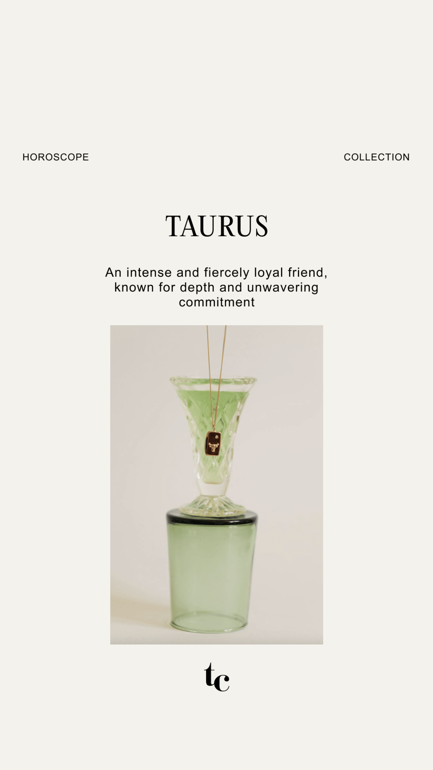 TAURUS FRIEND UPD1