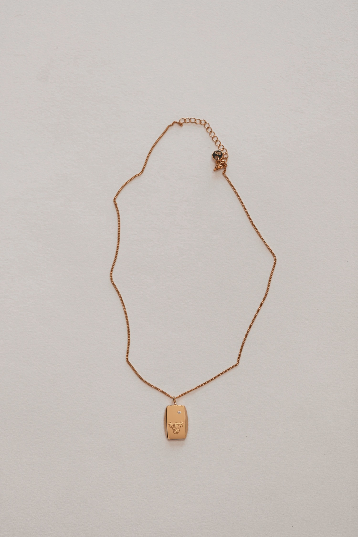 TC TAURUS NECKLACE FLATLAY21