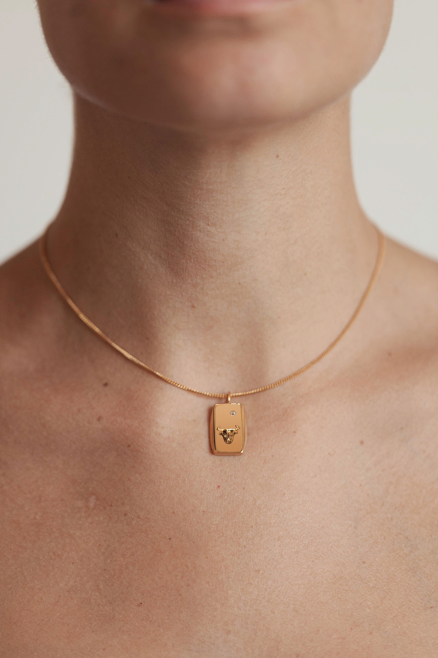 TC TAURUS NECKLACE NECKSTYLING copy1